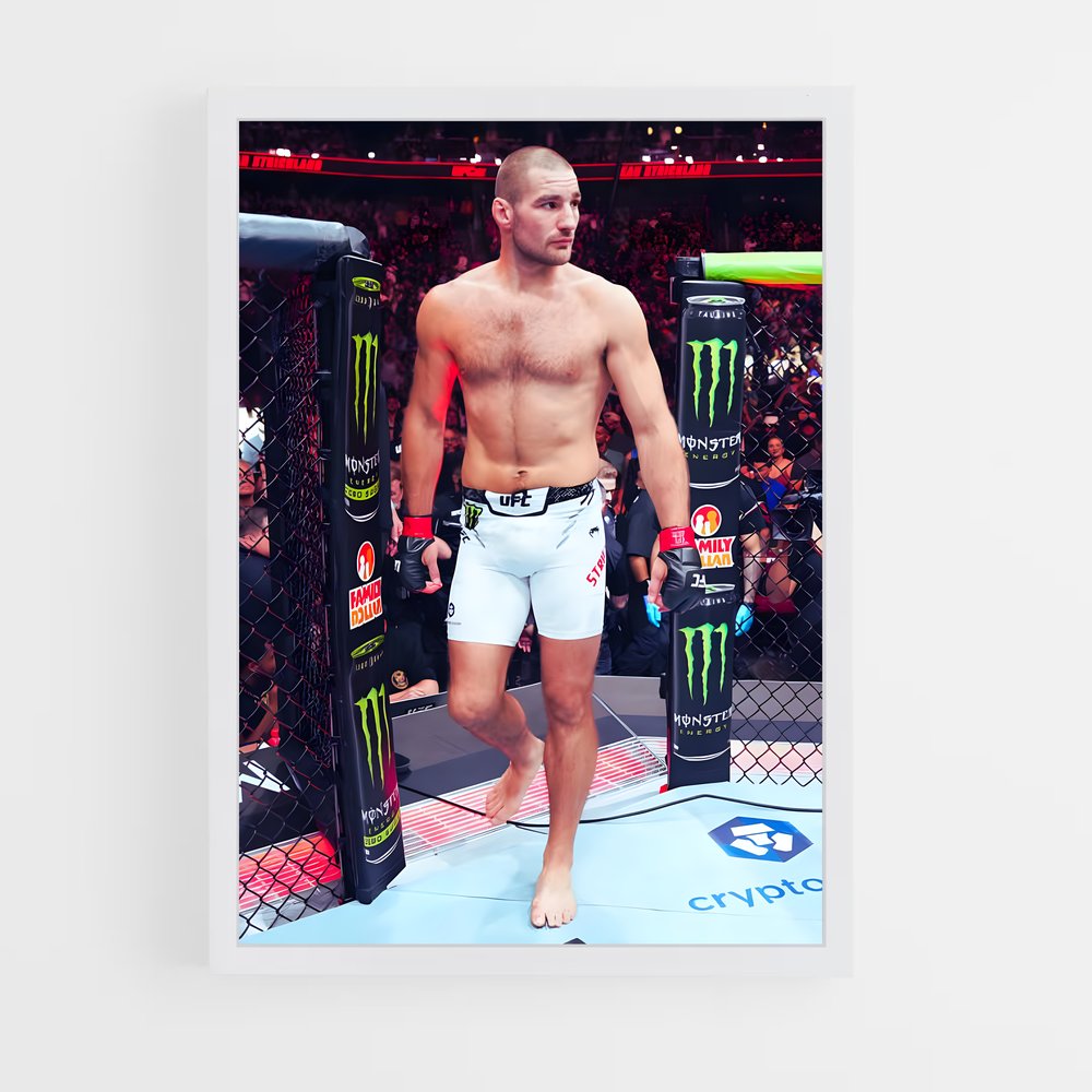 Poster L'Entrepreneur du Combat – affiche MMA (vue 3)